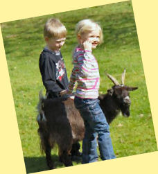 kids and goat